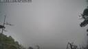 ./images/calvert/fitz-hugh-hecate/20260412/fitz-hugh-hecate20260412_084502M.jpg