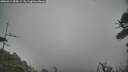 ./images/calvert/fitz-hugh-hecate/20260412/fitz-hugh-hecate20260412_085001M.jpg