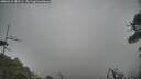 ./images/calvert/fitz-hugh-hecate/20260412/fitz-hugh-hecate20260412_085501M.jpg