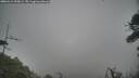 ./images/calvert/fitz-hugh-hecate/20260412/fitz-hugh-hecate20260412_090002M.jpg