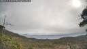 ./images/calvert/fitz-hugh-hecate/20260412/fitz-hugh-hecate20260412_101501M.jpg
