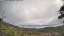 ./images/calvert/fitz-hugh-hecate/20260412/fitz-hugh-hecate20260412_103501M.jpg