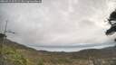 ./images/calvert/fitz-hugh-hecate/20260412/fitz-hugh-hecate20260412_105502M.jpg