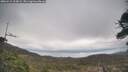 ./images/calvert/fitz-hugh-hecate/20260412/fitz-hugh-hecate20260412_123002M.jpg