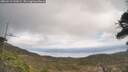 ./images/calvert/fitz-hugh-hecate/20260412/fitz-hugh-hecate20260412_141002M.jpg
