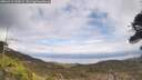 ./images/calvert/fitz-hugh-hecate/20260412/fitz-hugh-hecate20260412_143001M.jpg