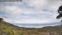 ./images/calvert/fitz-hugh-hecate/20260412/fitz-hugh-hecate20260412_143502M.jpg