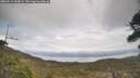 ./images/calvert/fitz-hugh-hecate/20260412/fitz-hugh-hecate20260412_150001M.jpg