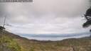 ./images/calvert/fitz-hugh-hecate/20260412/fitz-hugh-hecate20260412_150501M.jpg