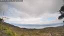 ./images/calvert/fitz-hugh-hecate/20260412/fitz-hugh-hecate20260412_151501M.jpg