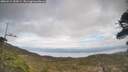 ./images/calvert/fitz-hugh-hecate/20260412/fitz-hugh-hecate20260412_152001M.jpg