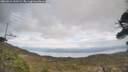 ./images/calvert/fitz-hugh-hecate/20260412/fitz-hugh-hecate20260412_152501M.jpg