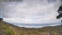 ./images/calvert/fitz-hugh-hecate/20260412/fitz-hugh-hecate20260412_154001M.jpg