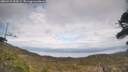 ./images/calvert/fitz-hugh-hecate/20260412/fitz-hugh-hecate20260412_154501M.jpg