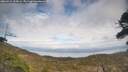 ./images/calvert/fitz-hugh-hecate/20260412/fitz-hugh-hecate20260412_155001M.jpg