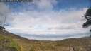./images/calvert/fitz-hugh-hecate/20260412/fitz-hugh-hecate20260412_155501M.jpg
