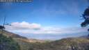 ./images/calvert/fitz-hugh-hecate/20260412/fitz-hugh-hecate20260412_165501M.jpg