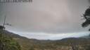 ./images/calvert/fitz-hugh-hecate/20260412/fitz-hugh-hecate20260412_184002M.jpg