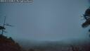 ./images/calvert/fitz-hugh-hecate/20260412/fitz-hugh-hecate20260412_204002M.jpg
