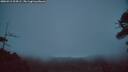 ./images/calvert/fitz-hugh-hecate/20260412/fitz-hugh-hecate20260412_204501M.jpg
