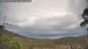 ./images/calvert/fitz-hugh-hecate/20260413/fitz-hugh-hecate20260413_075502M.jpg