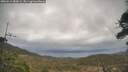 ./images/calvert/fitz-hugh-hecate/20260413/fitz-hugh-hecate20260413_080001M.jpg