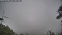 ./images/calvert/fitz-hugh-hecate/20260413/fitz-hugh-hecate20260413_090001M.jpg