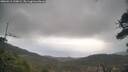 ./images/calvert/fitz-hugh-hecate/20260413/fitz-hugh-hecate20260413_100001M.jpg