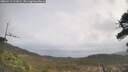 ./images/calvert/fitz-hugh-hecate/20260413/fitz-hugh-hecate20260413_111001M.jpg
