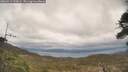 ./images/calvert/fitz-hugh-hecate/20260413/fitz-hugh-hecate20260413_125001M.jpg