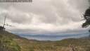 ./images/calvert/fitz-hugh-hecate/20260413/fitz-hugh-hecate20260413_125501M.jpg