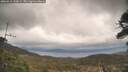 ./images/calvert/fitz-hugh-hecate/20260413/fitz-hugh-hecate20260413_130001M.jpg