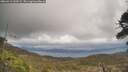 ./images/calvert/fitz-hugh-hecate/20260413/fitz-hugh-hecate20260413_130501M.jpg