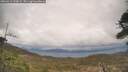 ./images/calvert/fitz-hugh-hecate/20260413/fitz-hugh-hecate20260413_133001M.jpg