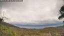./images/calvert/fitz-hugh-hecate/20260413/fitz-hugh-hecate20260413_135002M.jpg