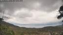 ./images/calvert/fitz-hugh-hecate/20260413/fitz-hugh-hecate20260413_152002M.jpg