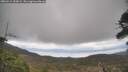 ./images/calvert/fitz-hugh-hecate/20260413/fitz-hugh-hecate20260413_155001M.jpg