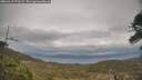 ./images/calvert/fitz-hugh-hecate/20260413/fitz-hugh-hecate20260413_171501M.jpg