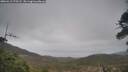 ./images/calvert/fitz-hugh-hecate/20260413/fitz-hugh-hecate20260413_175502M.jpg