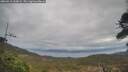 ./images/calvert/fitz-hugh-hecate/20260413/fitz-hugh-hecate20260413_200002M.jpg