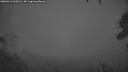 ./images/calvert/fitz-hugh-hecate/20260414/fitz-hugh-hecate20260414_061002M.jpg