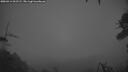 ./images/calvert/fitz-hugh-hecate/20260414/fitz-hugh-hecate20260414_061501M.jpg
