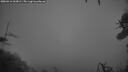 ./images/calvert/fitz-hugh-hecate/20260414/fitz-hugh-hecate20260414_062001M.jpg