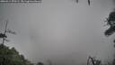 ./images/calvert/fitz-hugh-hecate/20260414/fitz-hugh-hecate20260414_070501M.jpg