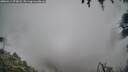 ./images/calvert/fitz-hugh-hecate/20260414/fitz-hugh-hecate20260414_075001M.jpg