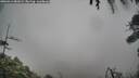 ./images/calvert/fitz-hugh-hecate/20260414/fitz-hugh-hecate20260414_081001M.jpg
