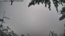 ./images/calvert/fitz-hugh-hecate/20260414/fitz-hugh-hecate20260414_110001M.jpg