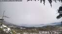 ./images/calvert/fitz-hugh-hecate/20260414/fitz-hugh-hecate20260414_135001M.jpg