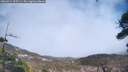 ./images/calvert/fitz-hugh-hecate/20260414/fitz-hugh-hecate20260414_155501M.jpg