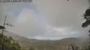 ./images/calvert/fitz-hugh-hecate/20260414/fitz-hugh-hecate20260414_162002M.jpg